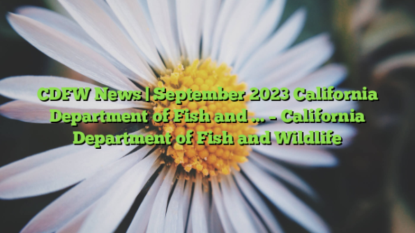 CDFW News | September 2023 California Department of Fish and … – California Department of Fish and Wildlife