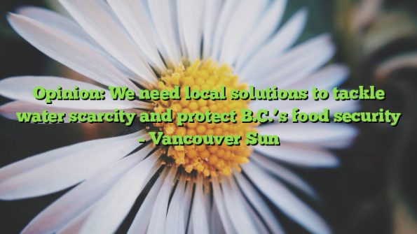 Opinion: We need local solutions to tackle water scarcity and protect B.C.’s food security – Vancouver Sun