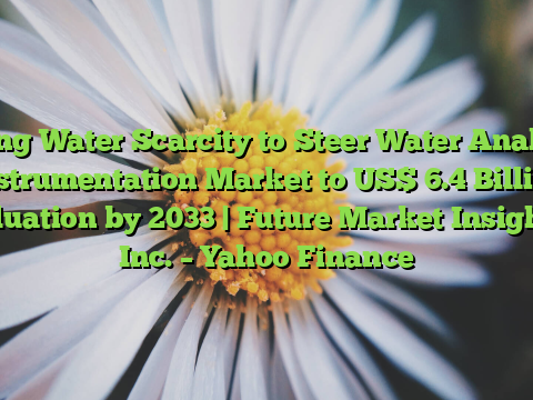 Rising Water Scarcity to Steer Water Analysis Instrumentation Market to US$ 6.4 Billion Valuation by 2033 | Future Market Insights, Inc. – Yahoo Finance