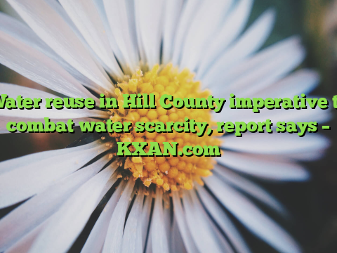 Water reuse in Hill County imperative to combat water scarcity, report says – KXAN.com