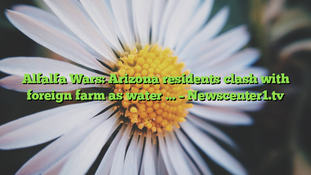 Alfalfa Wars: Arizona residents clash with foreign farm as water … – Newscenter1.tv