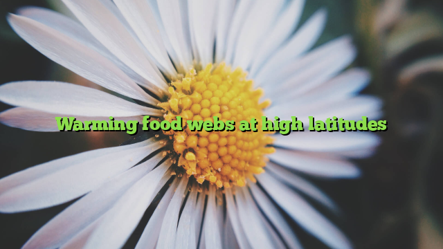 Warming food webs at high latitudes