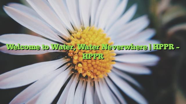 Welcome to Water, Water Neverwhere | HPPR – HPPR
