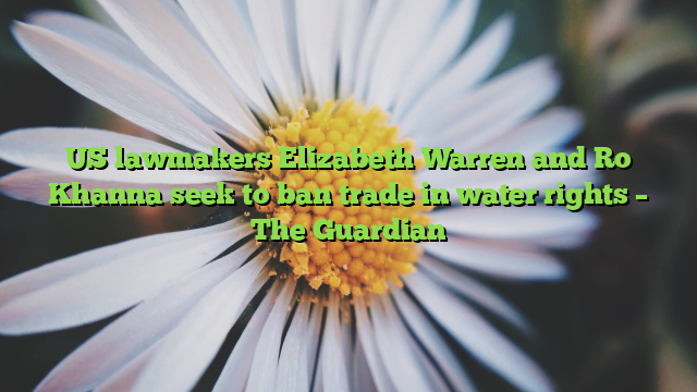 US lawmakers Elizabeth Warren and Ro Khanna seek to ban trade in water rights – The Guardian